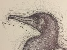 &#039;Cormorant resting&#039;. Detail.